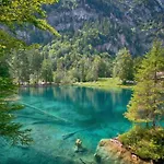Апартаменты The Bluemlisalp, A Private Flat With The Of Thun View