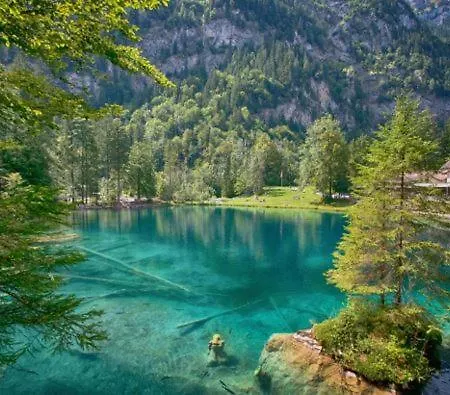 Appartamento The Bluemlisalp, A Private Flat With The Of Thun View